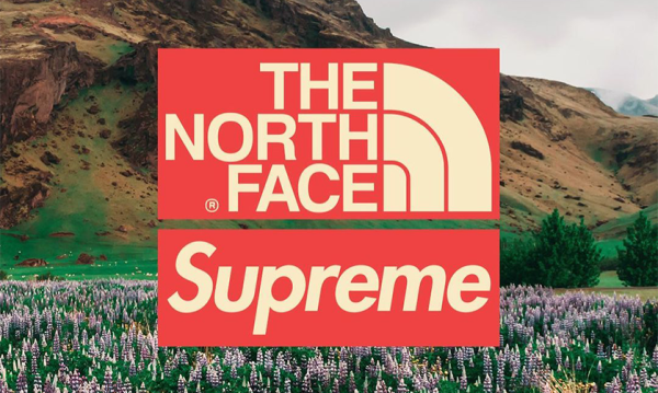 Supreme x THE NORTH FACE  春夏系列新联名预告
